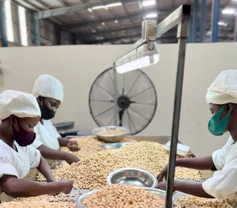 TRIFF DIE CASHEW-FARMER IN TOGO